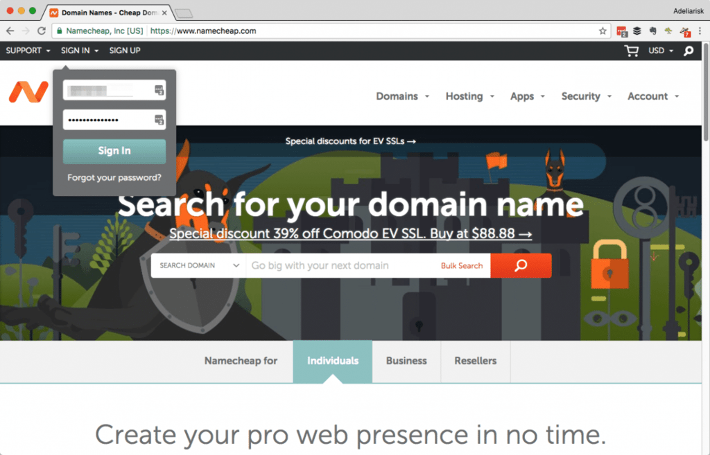 wordpress website name server 1